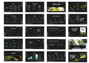قالب پاورپوینت طرح سبزیجات