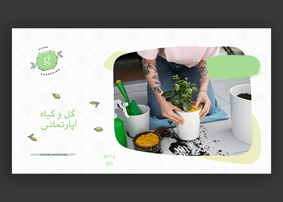 طرح آماده برای اسلایدر گل و گیاه های آپارتمانی