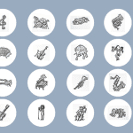 کاور هایلایت مناسب موزیک و کنسرت