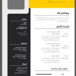 رزومه لایه باز برای جلب توجه سریع