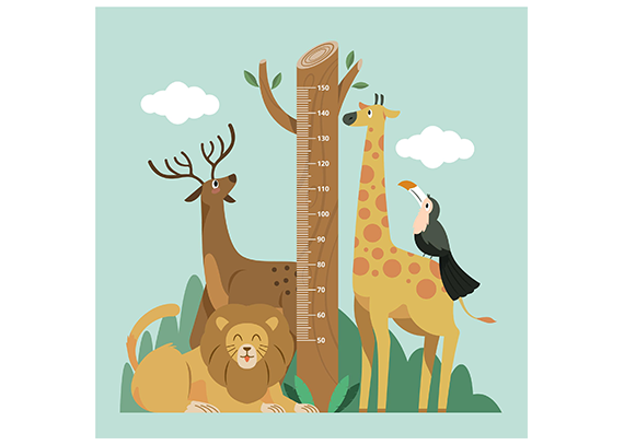 استیکر اندازه گیری قد طرح حیوانات جنگل 2