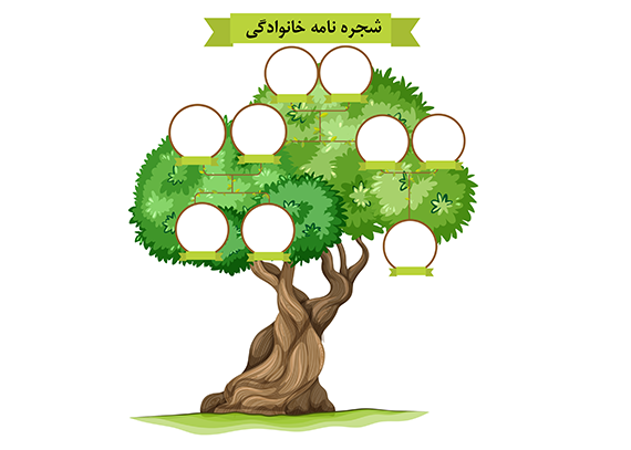فایل شجره‌نامه خانوادگی | ابزار آموزشی 14