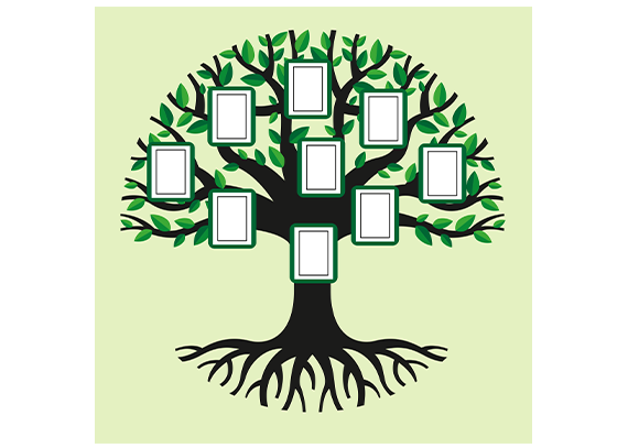 طرح شجره خانوادگی مناسب دانش‌آموزان 49