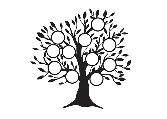 طرح گرافیکی شجره‌نامه خانوادگی 55