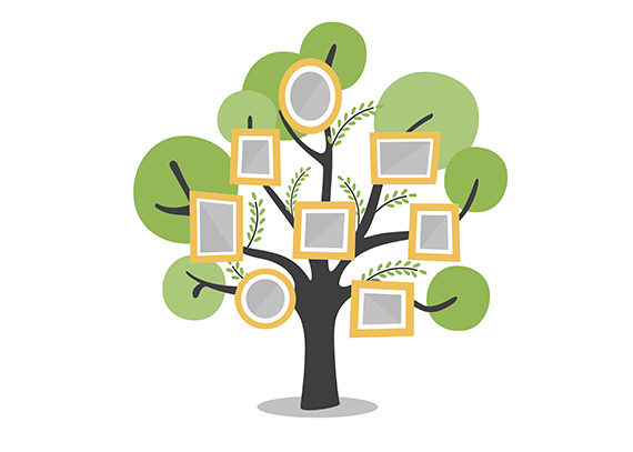 فایل آماده شجره‌نامه خانوادگی برای چاپ 57