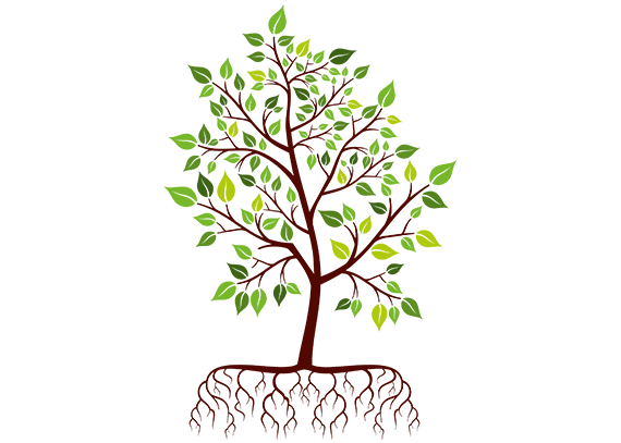 طرح اجزای درخت برای دانش‌آموزان ابتدایی